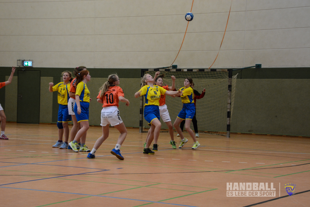 Laager SV 03 Handball wJD - SV Motor Barth