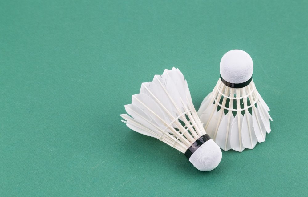 Ein voller Erfolg: Das 23. Badminton-Fun-Turnier