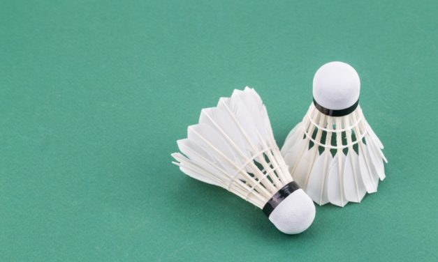 Ein voller Erfolg: Das 23. Badminton-Fun-Turnier