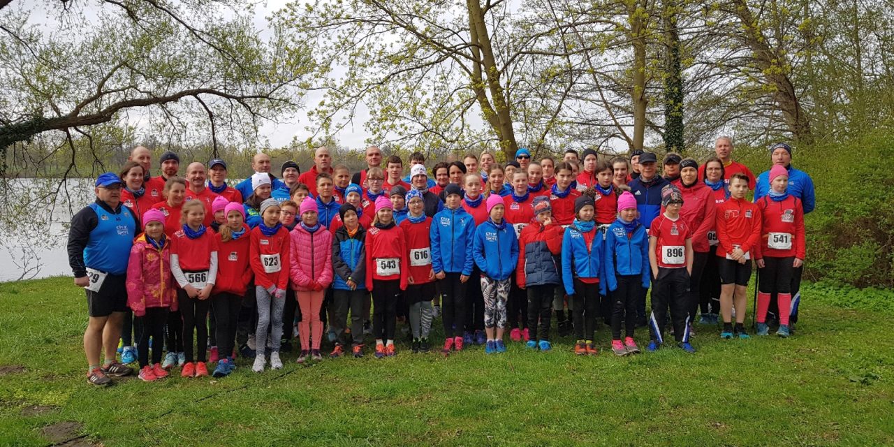 69 Laager Ausdauersportler rocken den Schweriner Schlosslauf