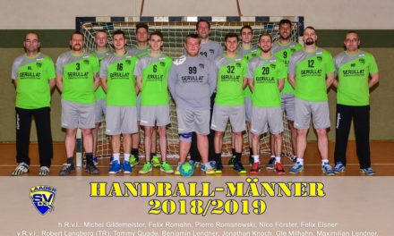 Handball Männer 2018/2019