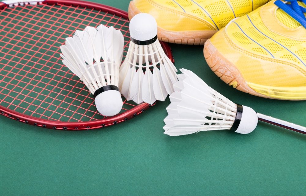 Badmintonspektakel zum Peenefest