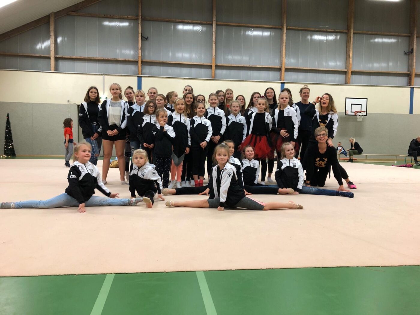 Teamfoto der Sektion Rhythmische Sportgymnastik. Foto: FSV Bentwisch