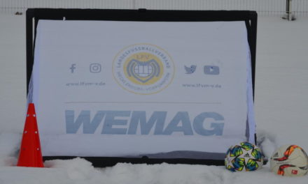 LFV und WEMAG unterstützen den Kinderfußball in MV mit Minitoren