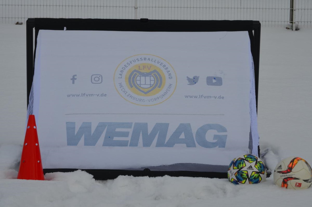 LFV und WEMAG unterstützen den Kinderfußball in MV mit Minitoren
