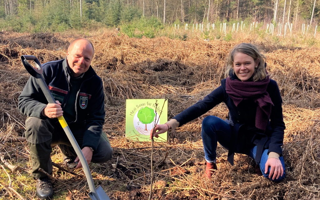 „Mein Baum für Rostock“ – Citylaufverein startet Nachhaltigkeitsprojekt