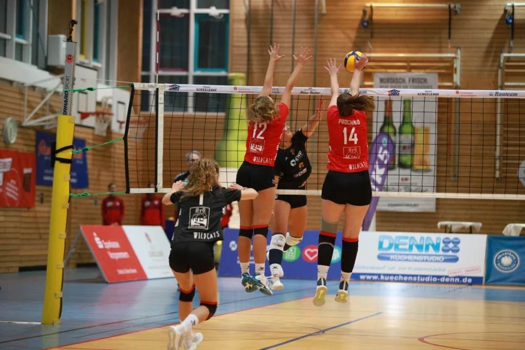 Stralsunder Wildcats im Regionalpokal gefordert