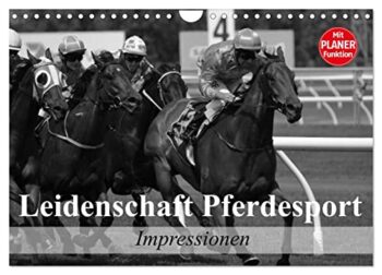 Leidenschaft Pferdesport - Impressionen (Wandkalender 2025 DIN A4 quer), CALVENDO Monatskalender