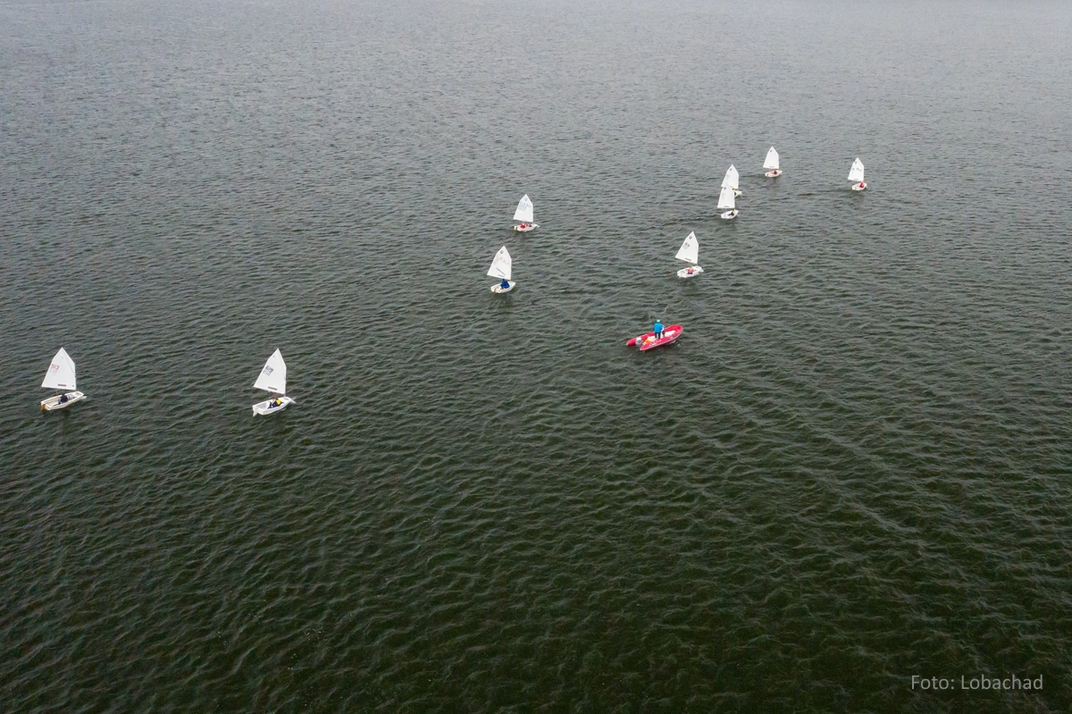Draufsicht auf eine Segelregatta mit Ein-Personen-Booten