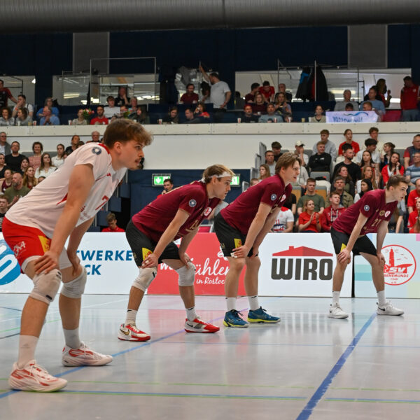 Wer wird Meister der Saison 2024/25?