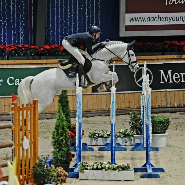 Erfolgreiche Starts beim Preis der Besten in Warendorf