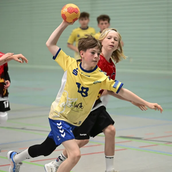 Grandioser Stiere Cup in Schwerin