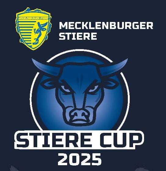 Spitzenhandball beim Stiere Cup 2025