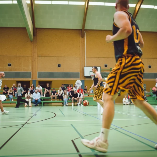 Tigers Schwerin sind Landesligameister