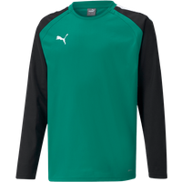 PUMA teamLIGA Sweatshirt Kids Grün F05