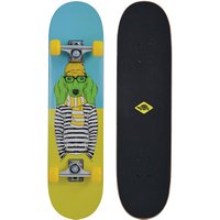 Schildkröt Skateboard 