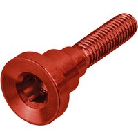 Hope Ersatzschraube für Ahead Kappe