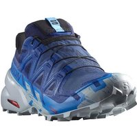 Herren lauf Schuhe Salomon Speedcross 6 Gtx