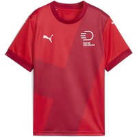 Dänischer Handballbund 24/25 Heimtrikot Kinder PUMA Red Dark Cherry