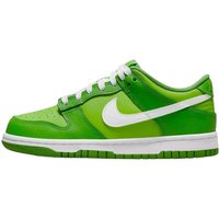 Schuhe  Dunk Low Chlorophyll