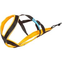 Polar Quest Geschirr - Inlandsis