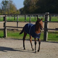 AMKA Fohlendecke Outdoor