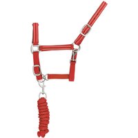 Reflektierendes Nylonhalfter und Führstrick für Pferde Supreme