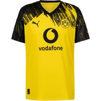 PUMA Borussia Dortmund 25-26 Heim Teamtrikot Herren