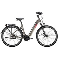 VICTORIA Elektro-Trekkingrad 