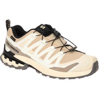 Salomon XA Pro 3D V9 Schuhe Damen beige GORE-TEX 478176