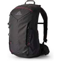 GREGORY Rucksack ZULU 25 LT RC