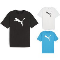 Puma Herren teamRISE Logo T-shirt 3er Pack - 658705