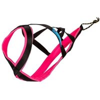 Polar Quest Geschirr - Inlandsis