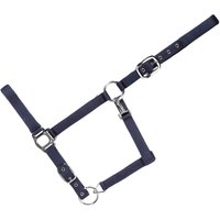 Gepolstertes Halfter für Pferde USG Everyday