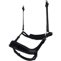 Reithalfter Pferd PS of Sweden Pioneer