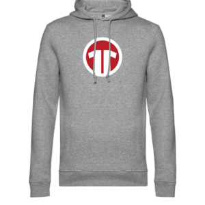 11teamsports Logo Hoody Grau