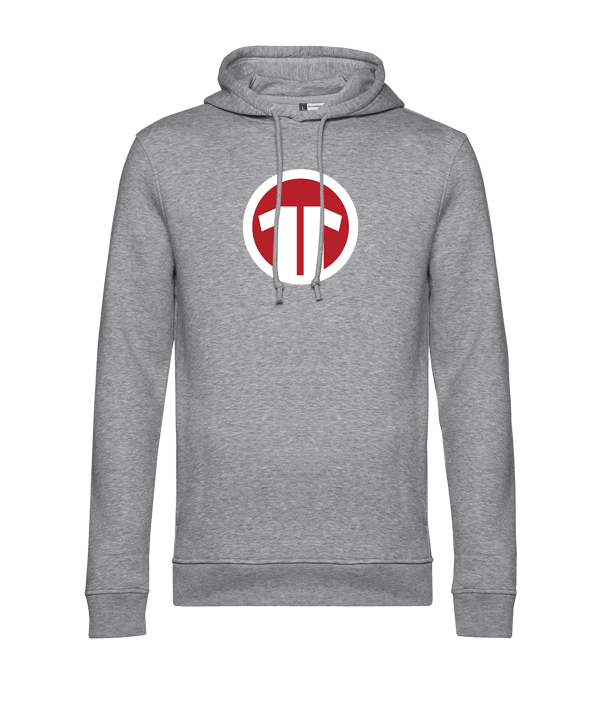 11teamsports Logo Hoody Grau
